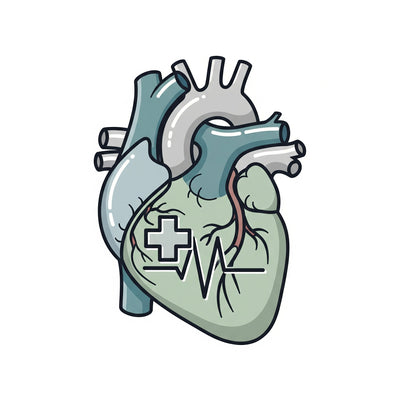 Cardiology