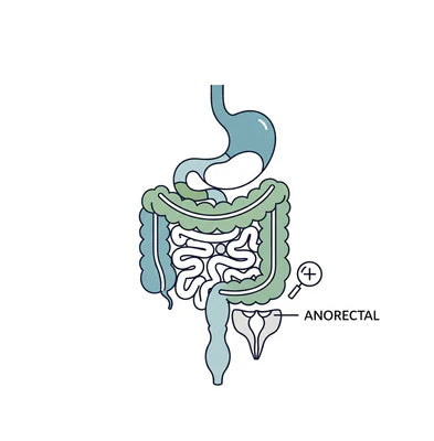 Anorectal and Gastro - Intestinal Disorders