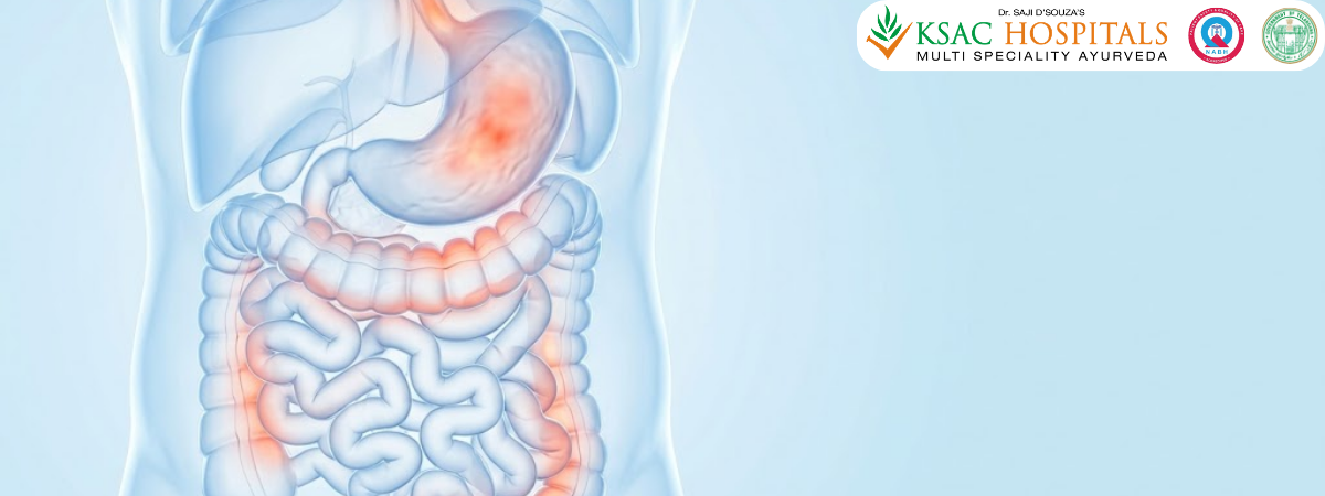 Healing the Gut: Ayurvedic Clinical Protocols for IBS, Acidity and Chronic Gastritis