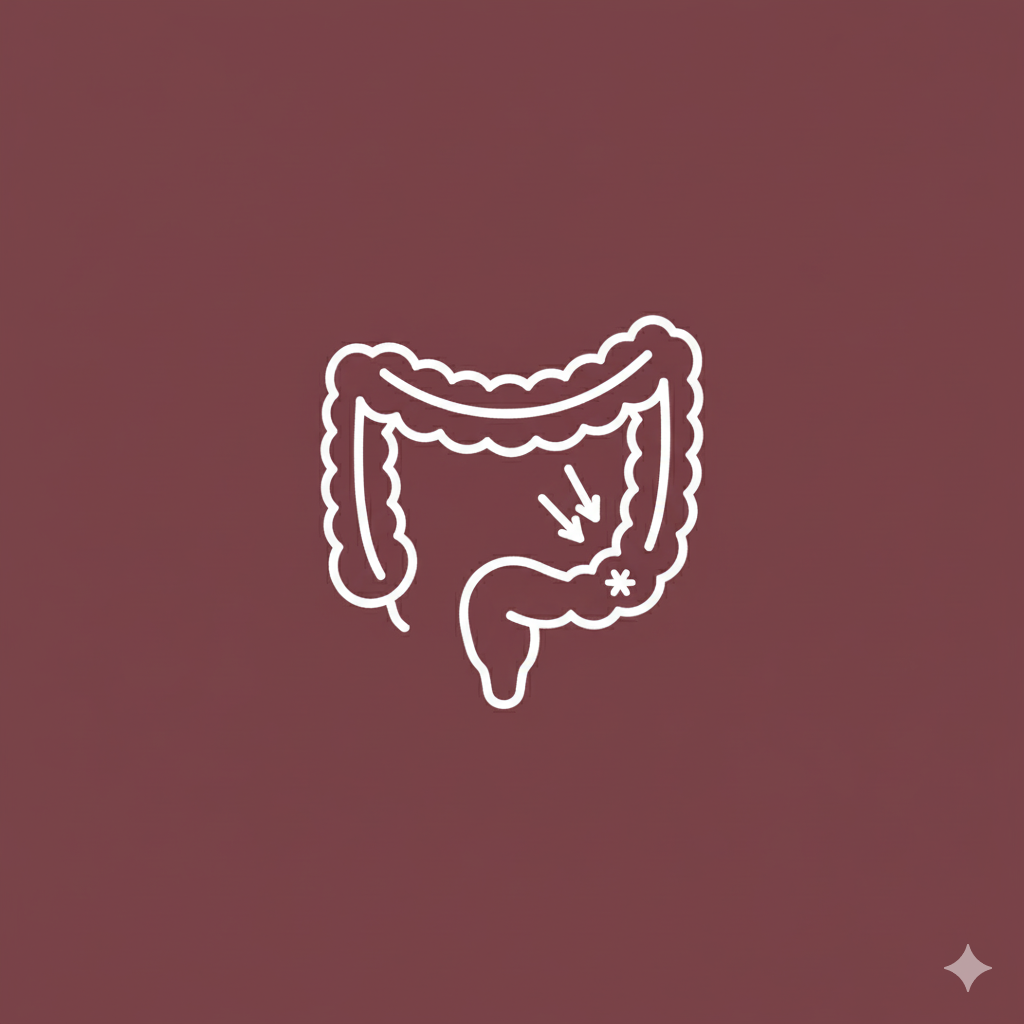 Anorectal Icon