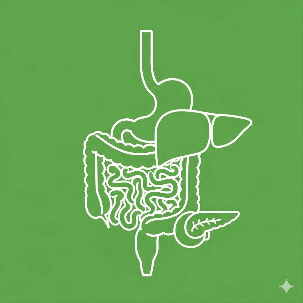 Anorectal Icon