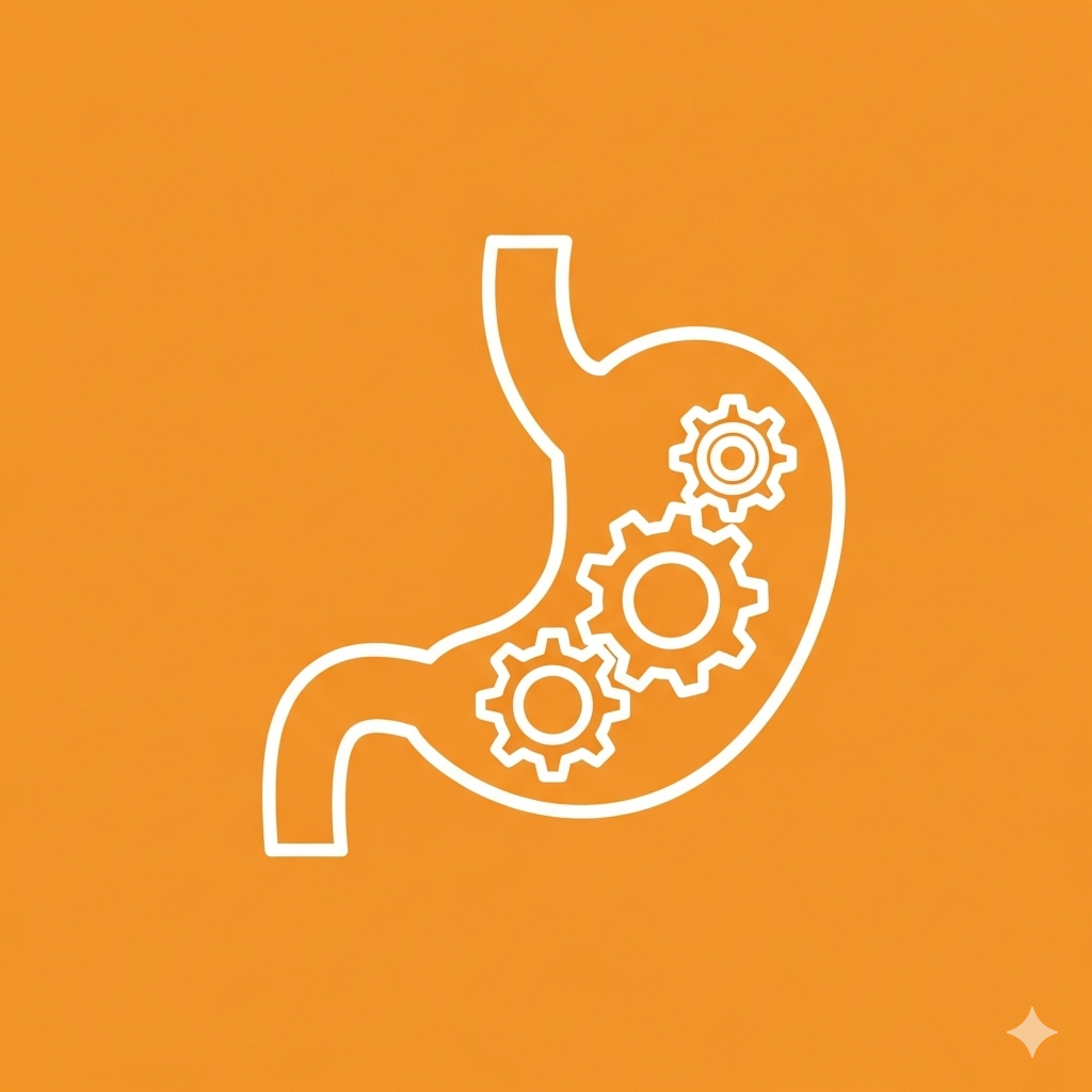 Anorectal Icon