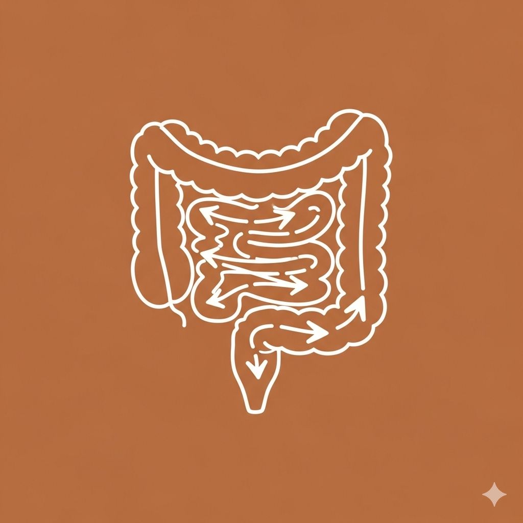 Anorectal Icon