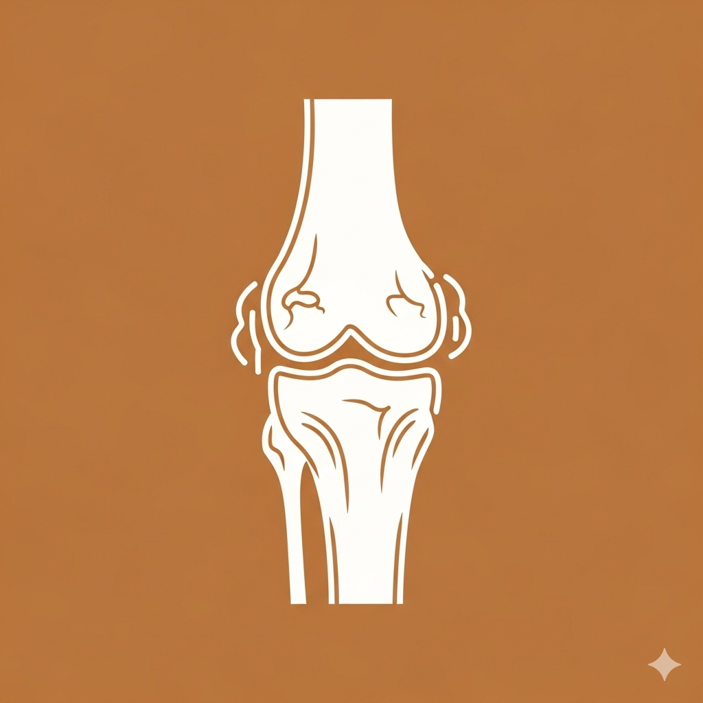 Orthopedic